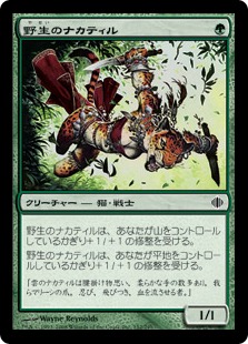 【JPN】【Foil】《野生のナカティル/Wild Nacatl》[ALA]