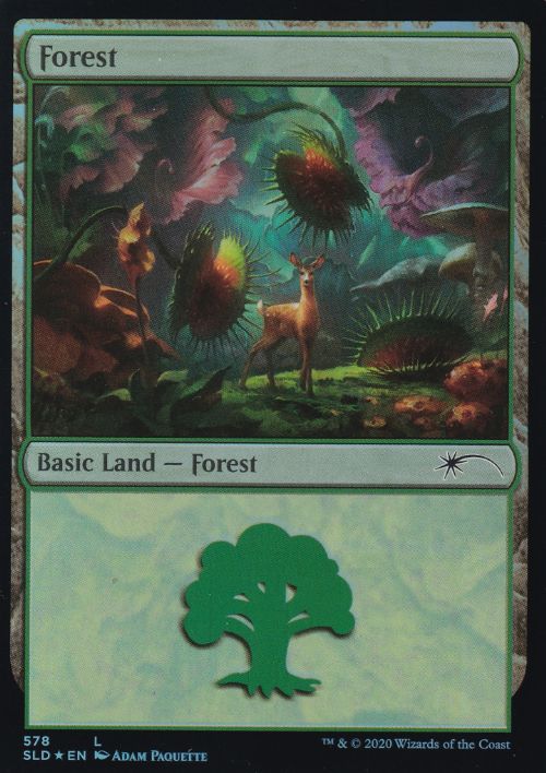 【ENG】【Foil】《森/Forest》(578)[Secret Lair]