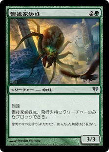 【JPN】《鬱後家蜘蛛/Gloomwidow》[AVR]