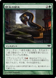 【JPN】【Foil】《野生の飢え/Wild Hunger》[DKA]