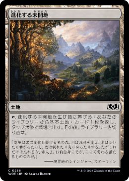 【JPN】【Foil】《進化する未開地/Evolving Wilds》[WOE]
