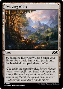 【ENG】【Foil】《進化する未開地/Evolving Wilds》[WOE]