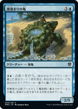 【JPN】《潮溜まりの亀/Tidepool Turtle》[DMU]