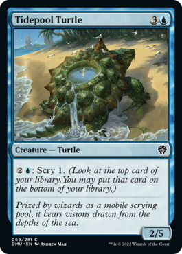 【ENG】《潮溜まりの亀/Tidepool Turtle》[DMU]