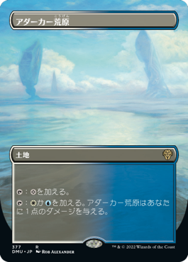 【JPN】【Foil】■ボーダーレス■《アダーカー荒原/Adarkar Wastes》[DMU]