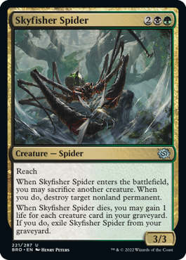 【ENG】《空漁師の蜘蛛/Skyfisher Spider》[BRO]