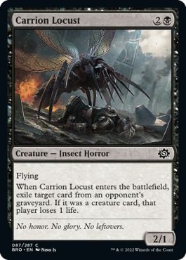 【ENG】《屍肉蝗/Carrion Locust》[BRO]