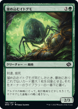 【JPN】《溜め込むイトグモ/Hoarding Recluse》[BRO]