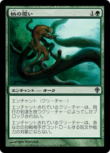 【JPN】《梢の覆い/Canopy Cover》[WWK]
