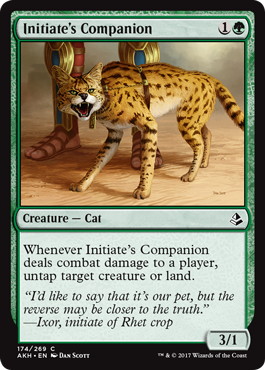 【ENG】《修練者の相棒/Initiate's Companion》[AKH]