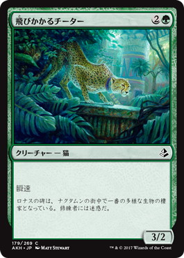 【JPN】《飛びかかるチーター/Pouncing Cheetah》[AKH]