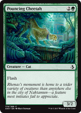 【ENG】《飛びかかるチーター/Pouncing Cheetah》[AKH]
