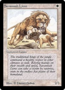 【ENG】《サバンナ・ライオン/Savannah Lions》[LEB]
