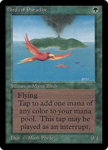 【ENG】《極楽鳥/Birds of Paradise》[LEB]