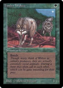 【ENG】《森林狼/Timber Wolves》[LEB]
