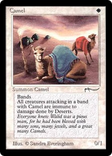【ENG】《Camel》[ARN]