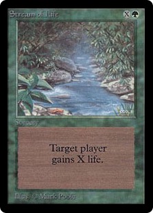 【ENG】《命の川/Stream of Life》[LEB]