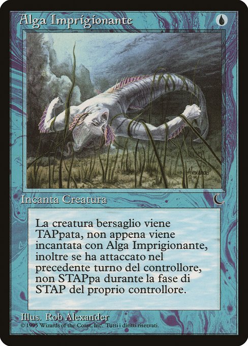 【ITA】《Tangle Kelp》[DRK]