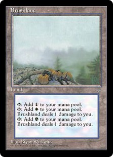 【ENG】《低木林地/Brushland》[ICE]