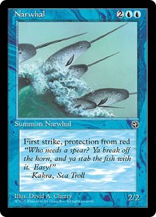 【ENG】《Narwhal》[HML]