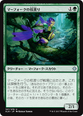 【JPN】《マーフォークの枝渡り/Merfolk Branchwalker》[XLN]
