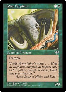 【ENG】《野生の象/Wild Elephant》[MIR]