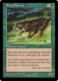 【ENG】《キング・チータ/King Cheetah》[VIS]