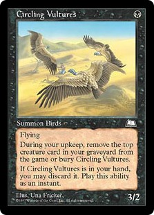 【ENG】《待ち受ける禿鷹/Circling Vultures》[WTH]