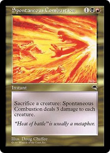 【ENG】《自然発火/Spontaneous Combustion》[TMP]