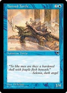 【ENG】《角海亀/Horned Turtle》[TMP]