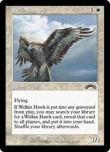 【ENG】《天空の鷹/Welkin Hawk》[EXO]