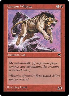 【ENG】《峡谷の山猫/Canyon Wildcat》[TMP]