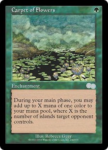 【ENG】《花の絨毯/Carpet of Flowers》[USG]