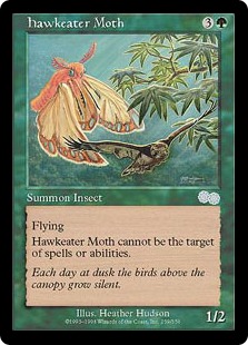 【ENG】《鷹喰い蛾/Hawkeater Moth》[USG]