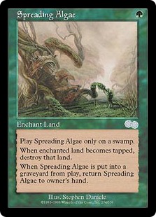 【ENG】《藻の蔓延/Spreading Algae》[USG]