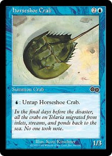 【ENG】《カブトガニ/Horseshoe Crab》[USG]
