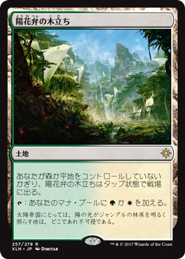 【JPN】【Foil】《陽花弁の木立ち/Sunpetal Grove》[XLN]