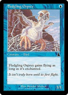 【ENG】【Foil】《巣立つミサゴ/Fledgling Osprey》[UDS]