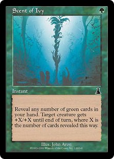 【ENG】【Foil】《キヅタの匂い/Scent of Ivy》[UDS]