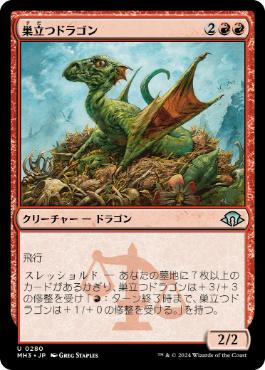 【JPN】《巣立つドラゴン/Fledgling Dragon》[MH3]