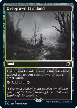 【ENG】■DBL■《草茂る農地/Overgrown Farmland》[MID]
