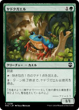 【JPN】《ヤドクガエル/Poison Dart Frog》[M3C]