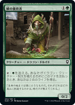 【JPN】《鱗の養育者/Scaled Nurturer》[CLB]