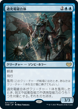 【JPN】《過充電縫合体/Overcharged Amalgam》[VOW]