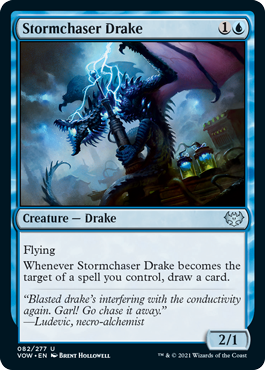 【ENG】【Foil】《嵐追いのドレイク/Stormchaser Drake》[VOW]
