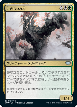 【JPN】【Foil】《古きもつれ樹/Ancient Lumberknot》[VOW]