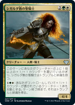 【JPN】【Foil】《シガルダ教の聖騎士/Sigardian Paladin》[VOW]