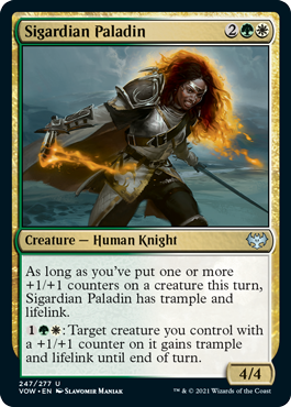 【ENG】【Foil】《シガルダ教の聖騎士/Sigardian Paladin》[VOW]