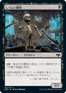 【JPN】【Foil】《しつこい標本/Persistent Specimen》[VOW]