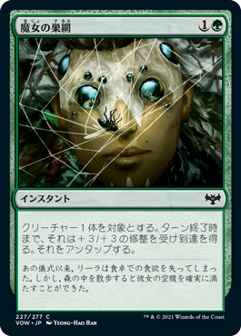 【JPN】【Foil】《魔女の巣網/Witch's Web》[VOW]